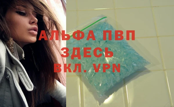 эйфоретик Волоколамск