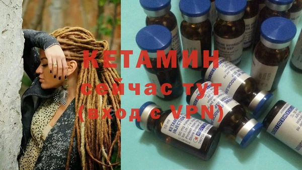 PSILOCYBIN Верхний Тагил
