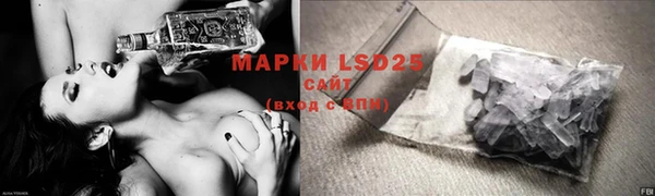 PSILOCYBIN Верхний Тагил