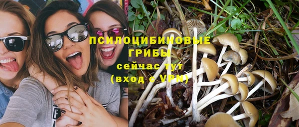 PSILOCYBIN Верхний Тагил