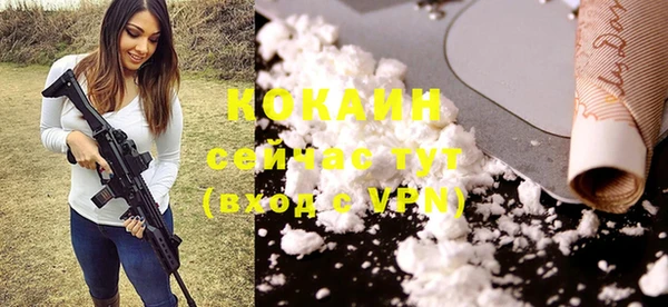 PSILOCYBIN Верхний Тагил