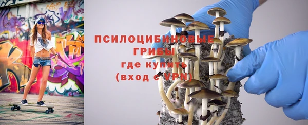 PSILOCYBIN Верхний Тагил